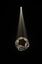 CHAUVET DJ Eve E50Z