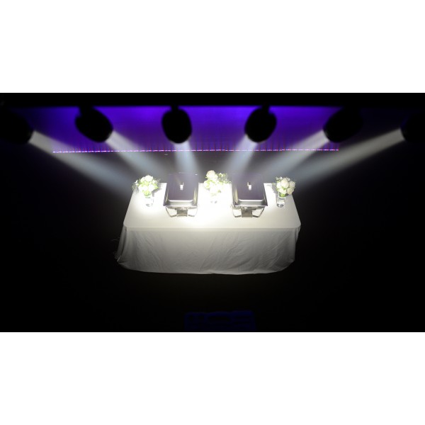 CHAUVET LED PinSpot BAR