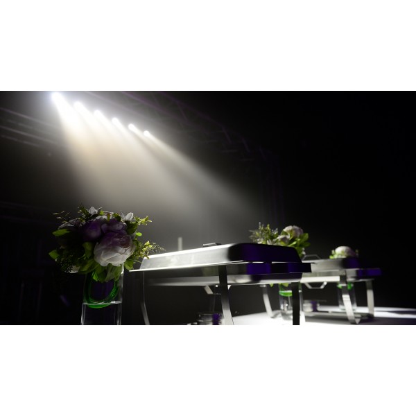 CHAUVET LED PinSpot BAR