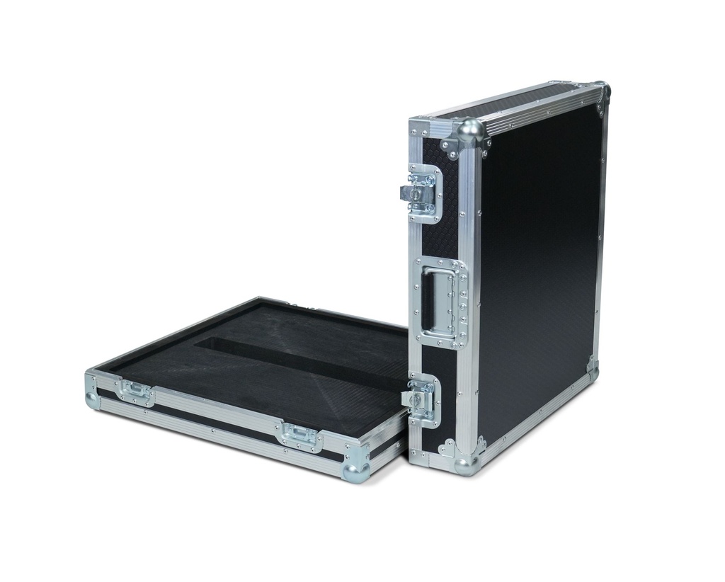 ShowCase Hedgehog 4/4X Case